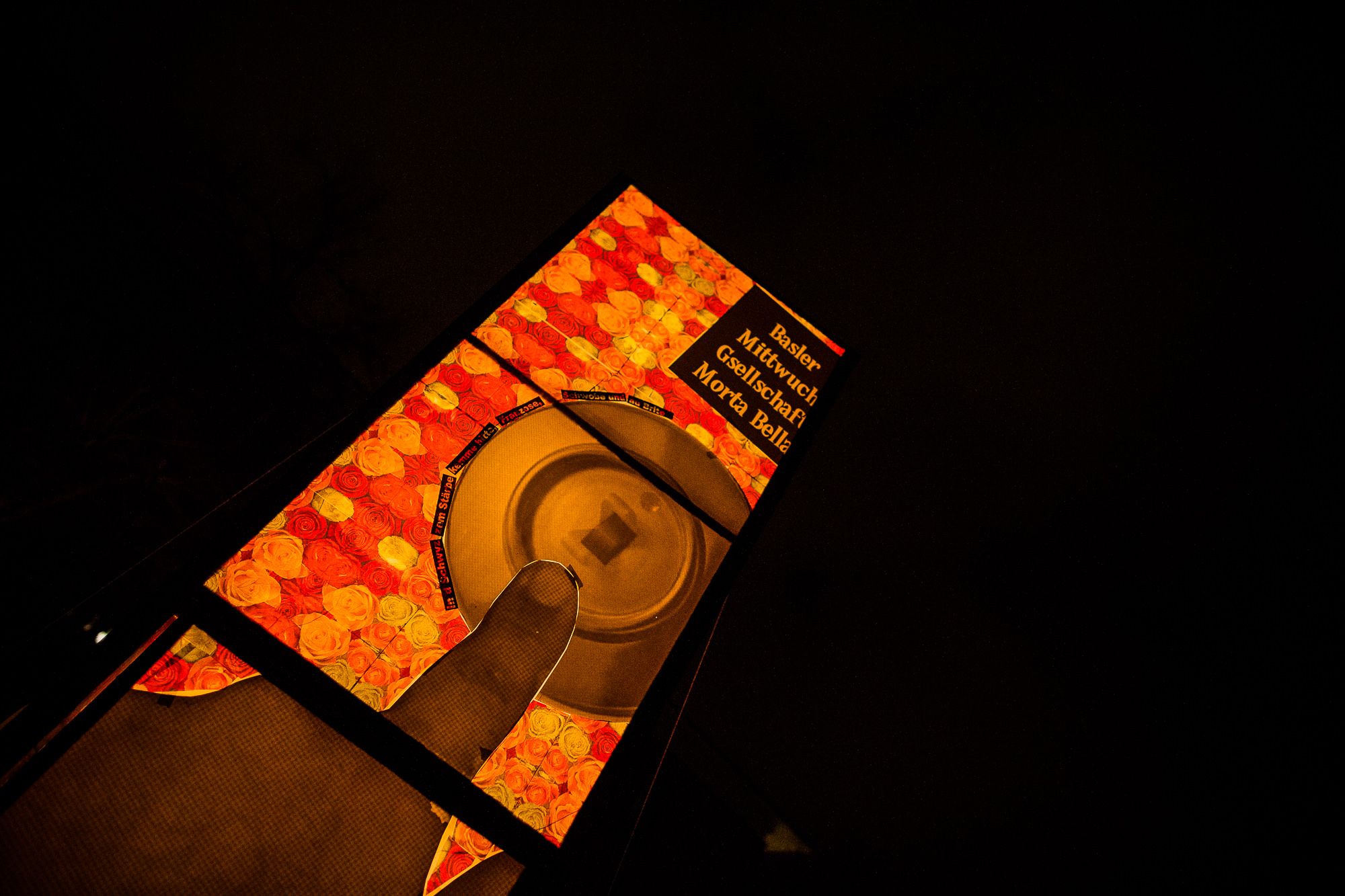 Export x3 1DX 6083 Basler Fasnacht 2016